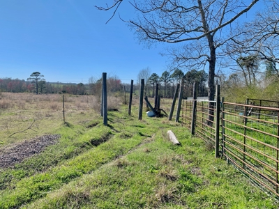 Land Auction South of Slocomb Alabama - Fadette AL - image 18