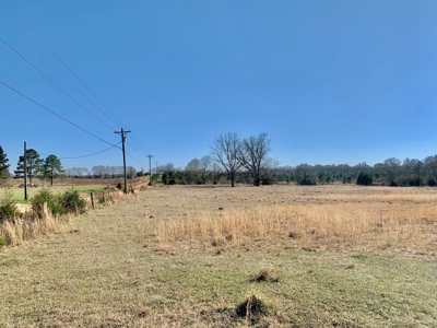 Land Auction South of Slocomb Alabama - Fadette AL - image 24