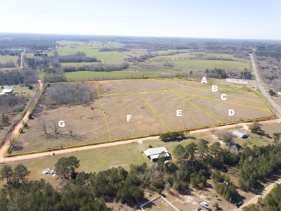 Land Auction South of Slocomb Alabama - Fadette AL - image 6