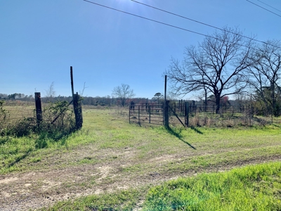 Land Auction South of Slocomb Alabama - Fadette AL - image 25