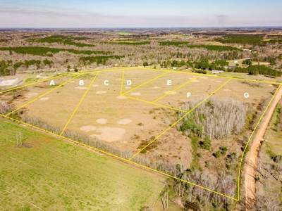 Land Auction South of Slocomb Alabama - Fadette AL - image 15