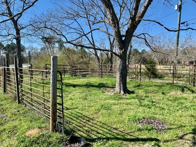 Land Auction South of Slocomb Alabama - Fadette AL - image 17
