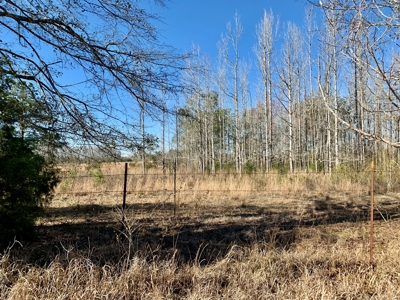Land Auction South of Slocomb Alabama - Fadette AL - image 36