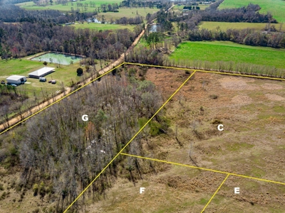 Land Auction South of Slocomb Alabama - Fadette AL - image 7