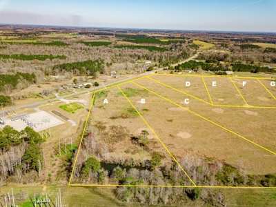Land Auction South of Slocomb Alabama - Fadette AL - image 16