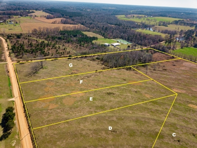 Land Auction South of Slocomb Alabama - Fadette AL - image 10