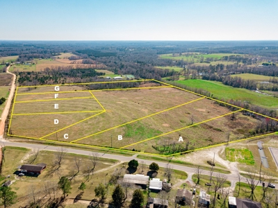 Land Auction South of Slocomb Alabama - Fadette AL - image 3