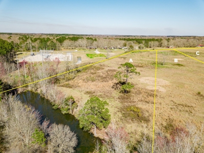 Land Auction South of Slocomb Alabama - Fadette AL - image 13