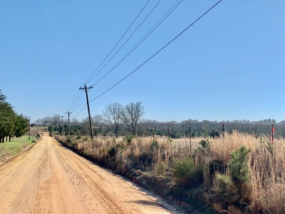 Land Auction South of Slocomb Alabama - Fadette AL - image 33