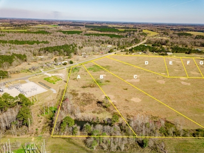Land Auction South of Slocomb Alabama - Fadette AL - image 4
