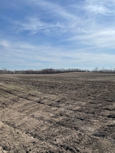 New Listing!! DeKalb County MO Bottom and Second Bottom Land - image 1