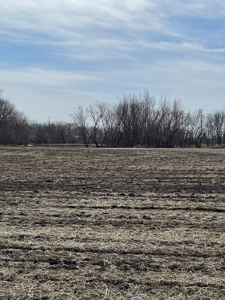 New Listing!! DeKalb County MO Bottom and Second Bottom Land - image 6
