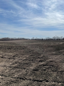 New Listing!! DeKalb County MO Bottom and Second Bottom Land - image 3