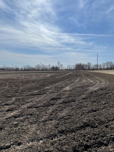 New Listing!! DeKalb County MO Bottom and Second Bottom Land - image 4