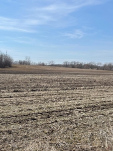New Listing!! DeKalb County MO Bottom and Second Bottom Land - image 5