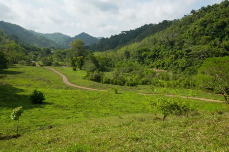 Costa Rica waterfront mountain ECO development Land for sale - image 7