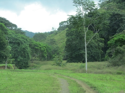 Costa Rica waterfront mountain ECO development Land for sale - image 6