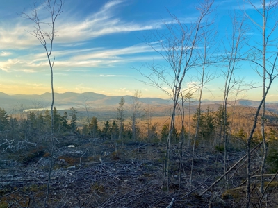 Maine Hunting and Recreational Land For Sale - image 7