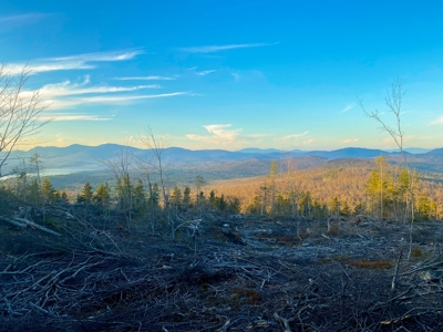 Maine Hunting and Recreational Land For Sale - image 9