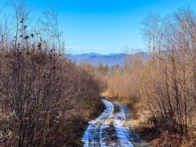 Maine Hunting and Recreational Land For Sale - image 3
