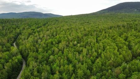 Maine Hunting and Recreational Land For Sale - image 31