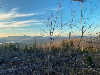 Maine Hunting and Recreational Land For Sale - image 11