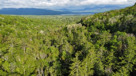Maine Hunting and Recreational Land For Sale - image 38