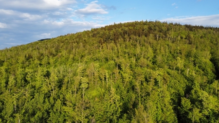 Maine Hunting and Recreational Land For Sale - image 24
