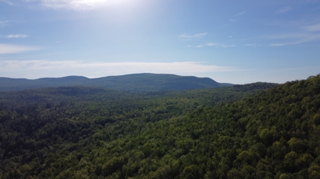 Maine Hunting and Recreational Land For Sale - image 21
