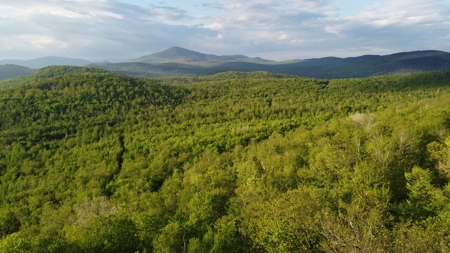 Maine Hunting and Recreational Land For Sale - image 17