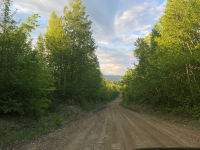 Maine Hunting and Recreational Land For Sale - image 14