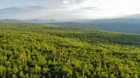 Maine Hunting and Recreational Land For Sale - image 28