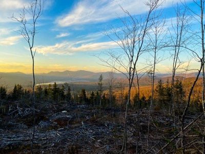 Maine Hunting and Recreational Land For Sale - image 12