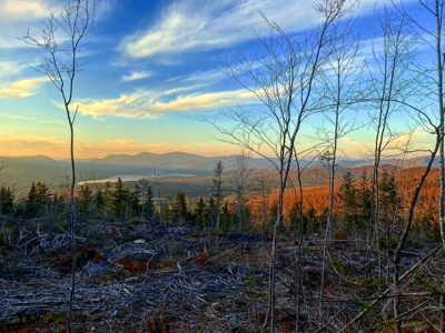 Maine Hunting and Recreational Land For Sale - image 1