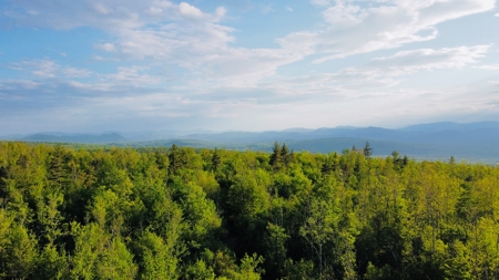 Maine Hunting and Recreational Land For Sale - image 22
