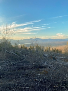 Maine Hunting and Recreational Land For Sale - image 6