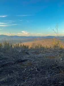 Maine Hunting and Recreational Land For Sale - image 5