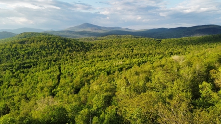 Maine Hunting and Recreational Land For Sale - image 25