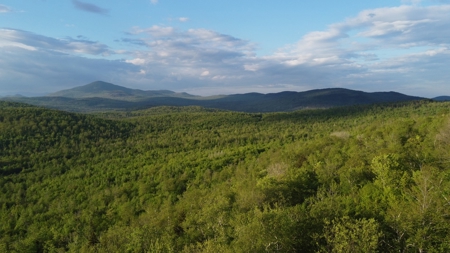 Maine Hunting and Recreational Land For Sale - image 16