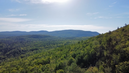 Maine Hunting and Recreational Land For Sale - image 37
