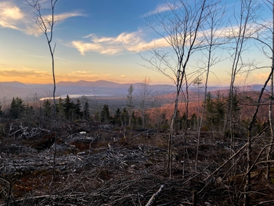 Maine Hunting and Recreational Land For Sale - image 4