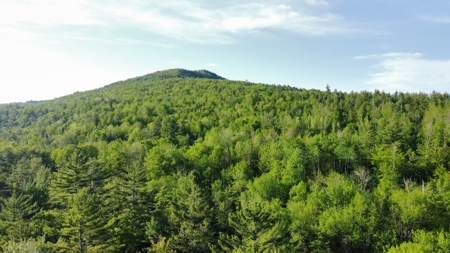 Maine Hunting and Recreational Land For Sale - image 35