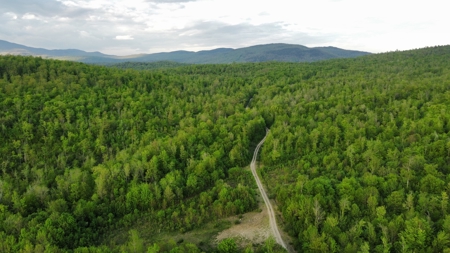 Maine Hunting and Recreational Land For Sale - image 30