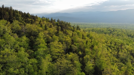Maine Hunting and Recreational Land For Sale - image 26