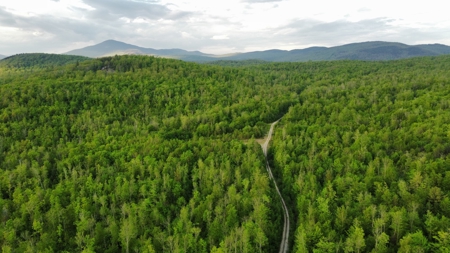 Maine Hunting and Recreational Land For Sale - image 29