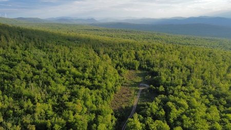 Maine Hunting and Recreational Land For Sale - image 27