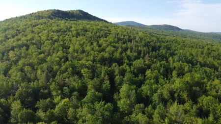 Maine Hunting and Recreational Land For Sale - image 20
