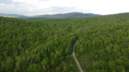 Maine Hunting and Recreational Land For Sale - image 19