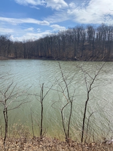 Lake Front Property for sale Bloomington IN on Lake Monroe - image 13