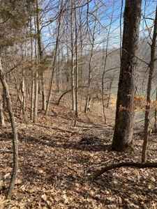 Lake Front Property for sale Bloomington IN on Lake Monroe - image 29